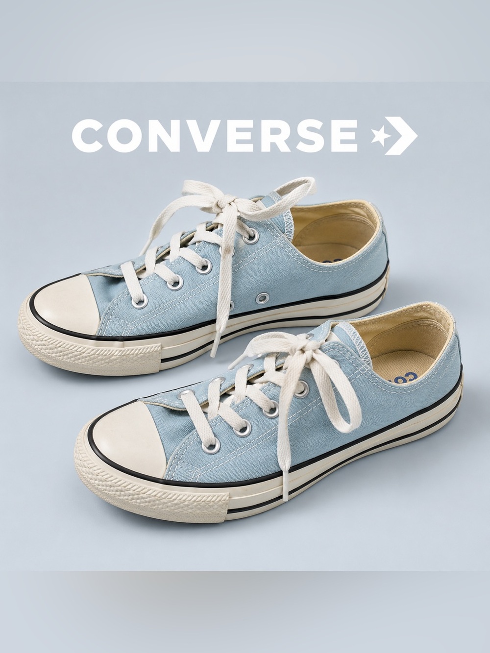 Converse Chuck Taylor All Star Low Top Sneakers Powder Blue